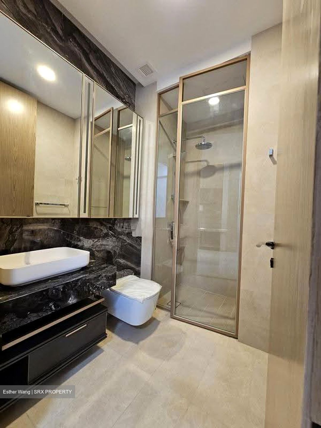 The Avenir (D9), Condominium #637453251